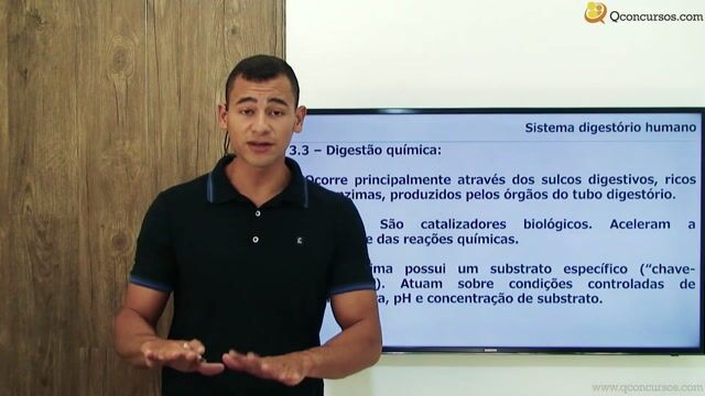 Sistema Digestório Humano - Parte 02