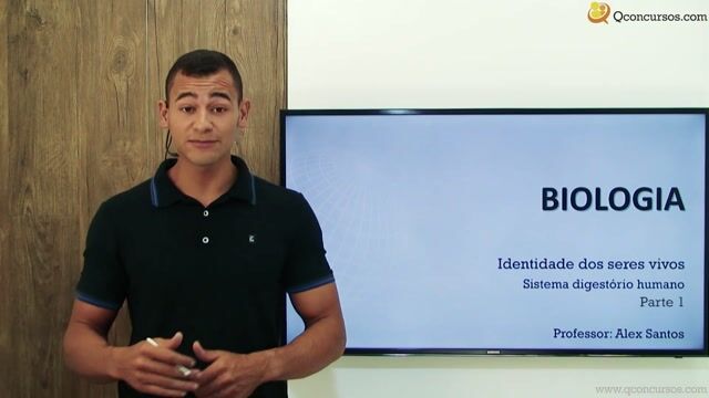 Sistema Digestório Humano - Parte 01