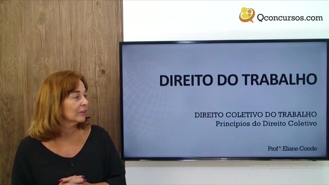Princípios do Direito Coletivo - Parte 1