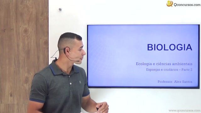 Esponjas e Cnidários - Parte 02