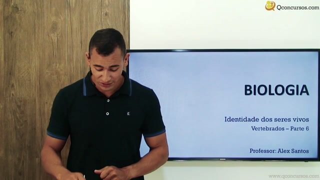 Vertebrados - Parte 06