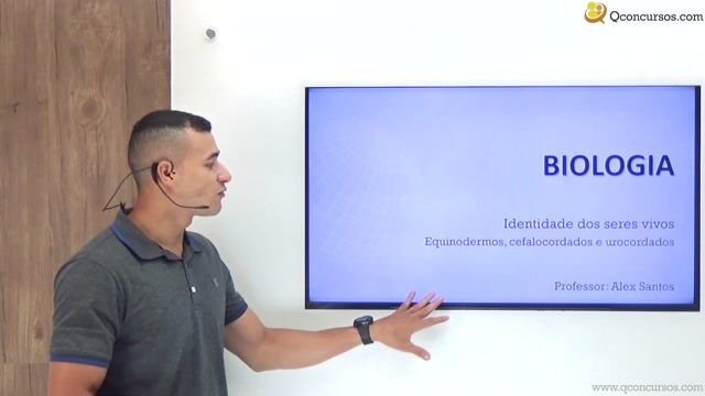 Equinodermos, Cefalocordados e Urocordados