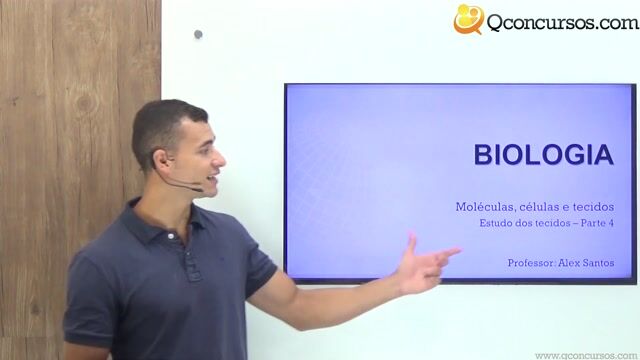 Estudo dos tecidos - Parte 4