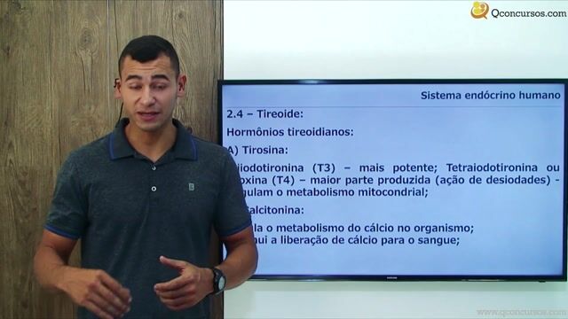 Sistema Endócrino Humano - Parte 02