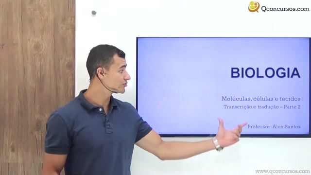 Transcrição e Tradução - Parte 2