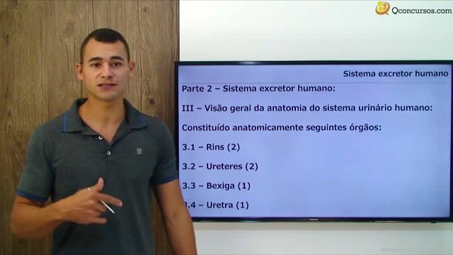 Sistema Excretor Humano - Parte 02