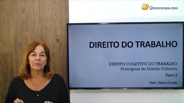Princípios do Direito Coletivo - Parte 2