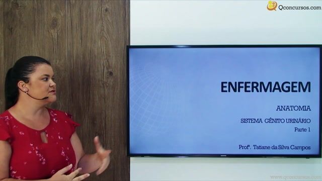Anatomia do Sistema Genito Urinário - Parte 01