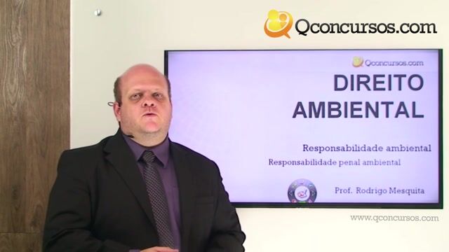 Responsabilidade Penal Ambiental