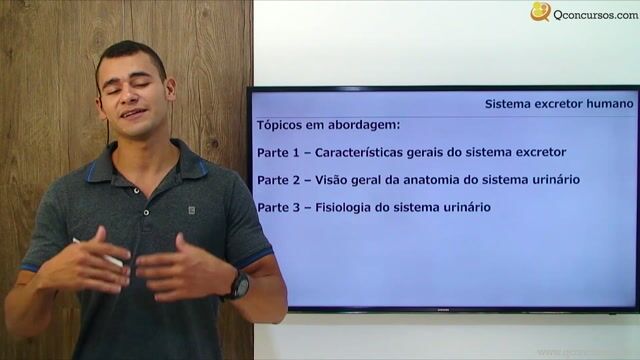 Sistema Excretor Humano - Parte 01
