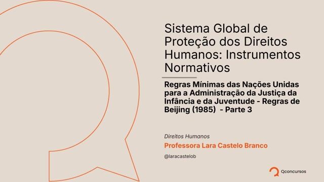 Regras Mínimas das Nações Unidas para a Administração da Justiça da Infância e da Juventude - Regras de Beijing (1985) - Parte 3