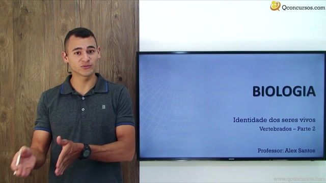 Vertebrados - Parte 02